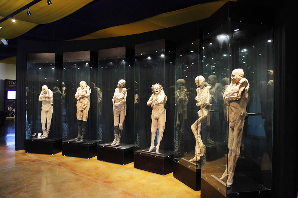 Discover the Traveling Mummies of Guanajuato