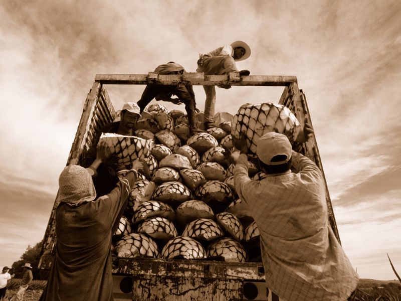 Hacienda Tequilera en Pénjamo